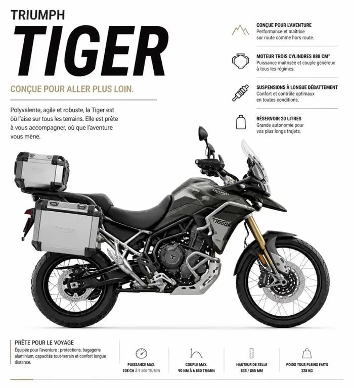 Triumph Tiger moto occasion
